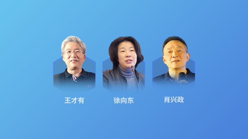 成都气血调理泡脚方加盟：揭秘传统养生与现代市场的结合**
